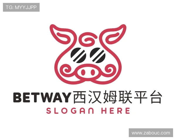 解读中国·必威(bw·西汉姆联)官网